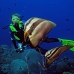 batfish_longfin_jr_v_0705_png0338.jpg